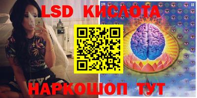 прущие грибы Канаш