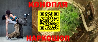 прущие грибы Канаш