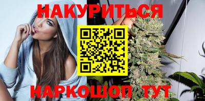 сатива Кандалакша