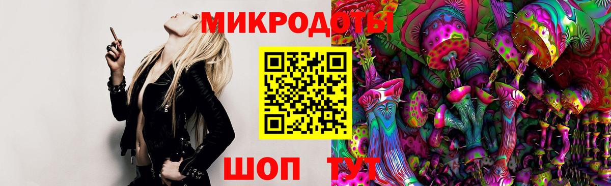 Псилоцибиновые грибы Psilocybine cubensis Людиново
